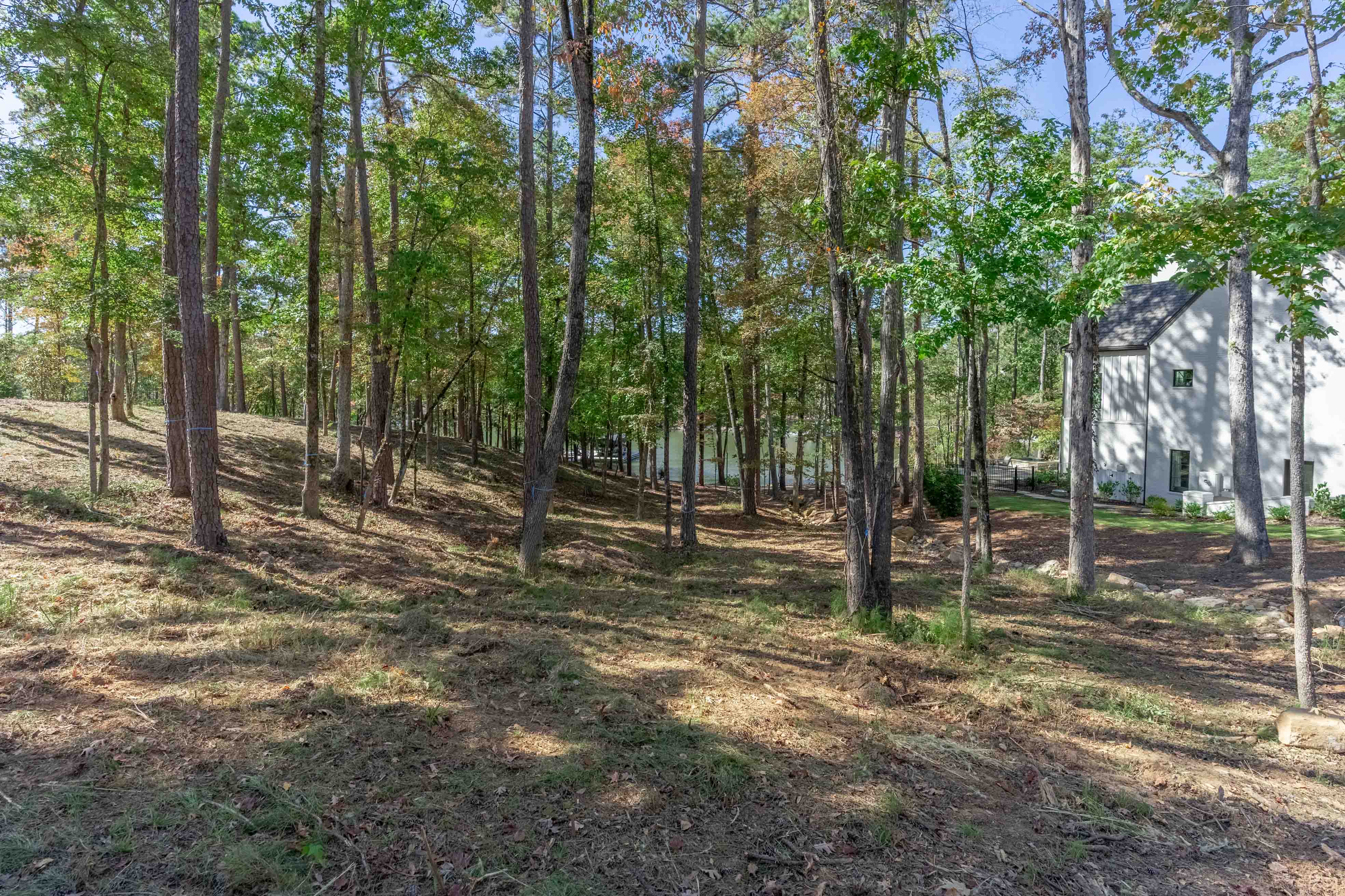 1545 Night Heron Drive image 4